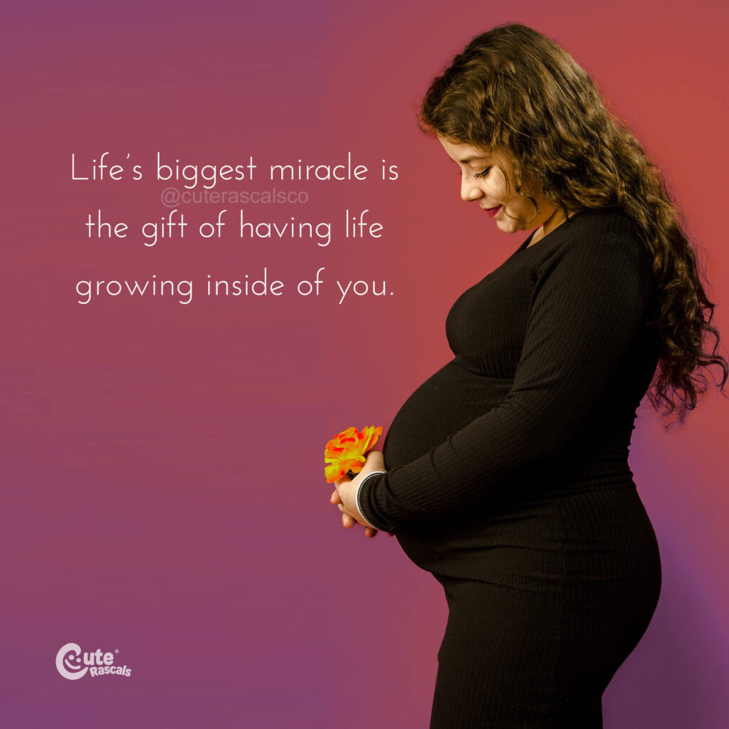 Life's biggest miracle pregnancy quote