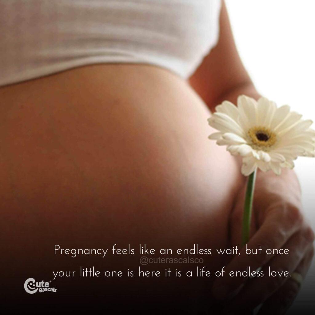 Pregnancy feels like an endless wait quote
