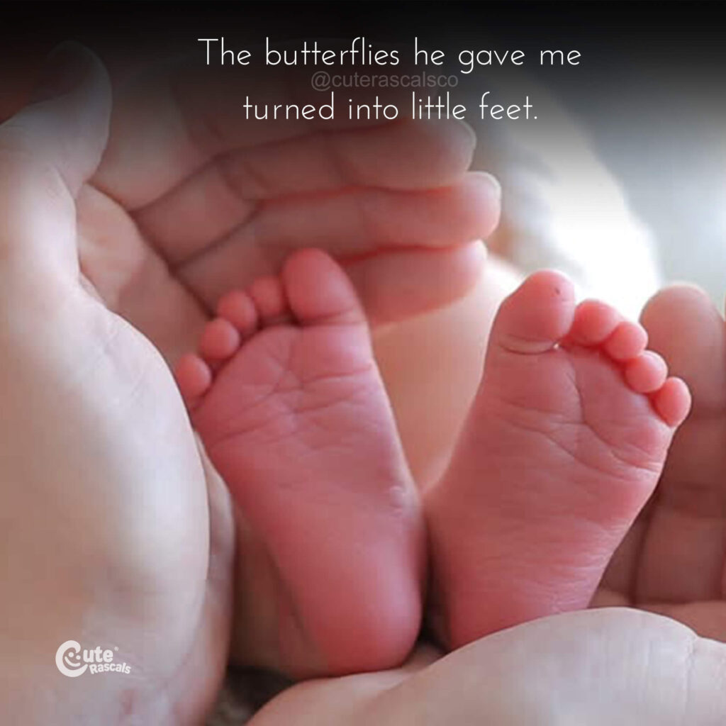 The butterflies he gave me turned into little feet. Being pregnant quotes
