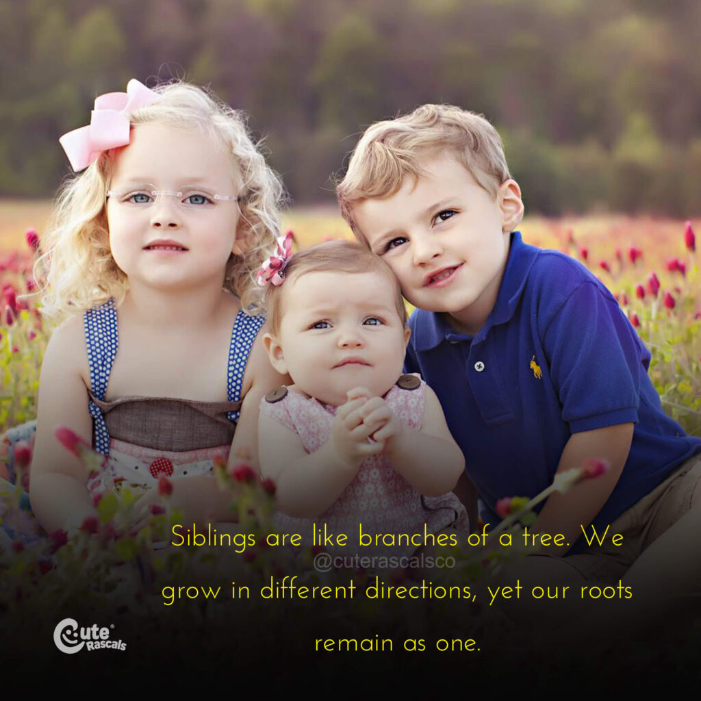 Siblings are like branches of a tree. We grow in different directions, yet our roots remain as one. - Sibling love quotes