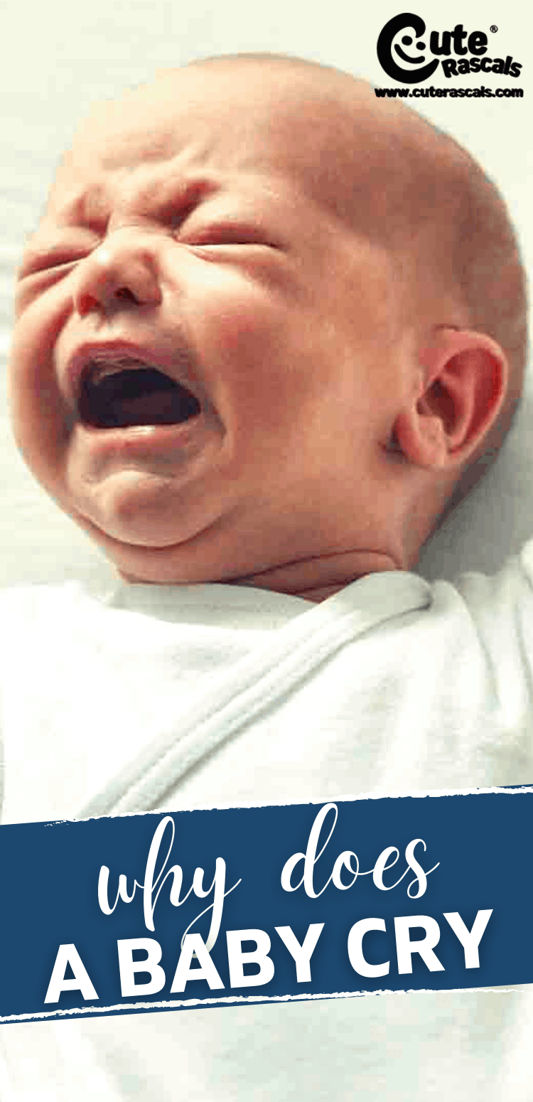 Why does a baby cry?