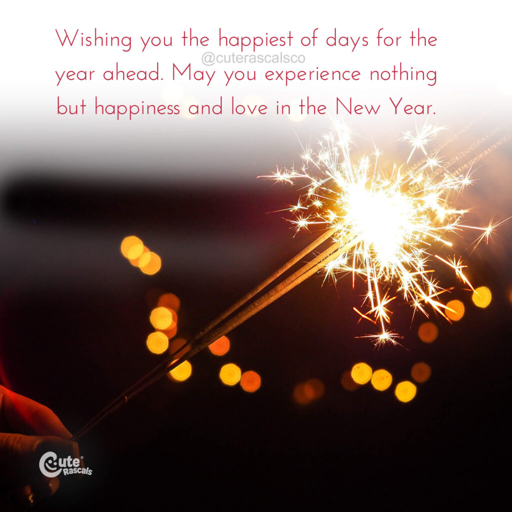 Wishing for the happiest days ahead. New Year wishes.