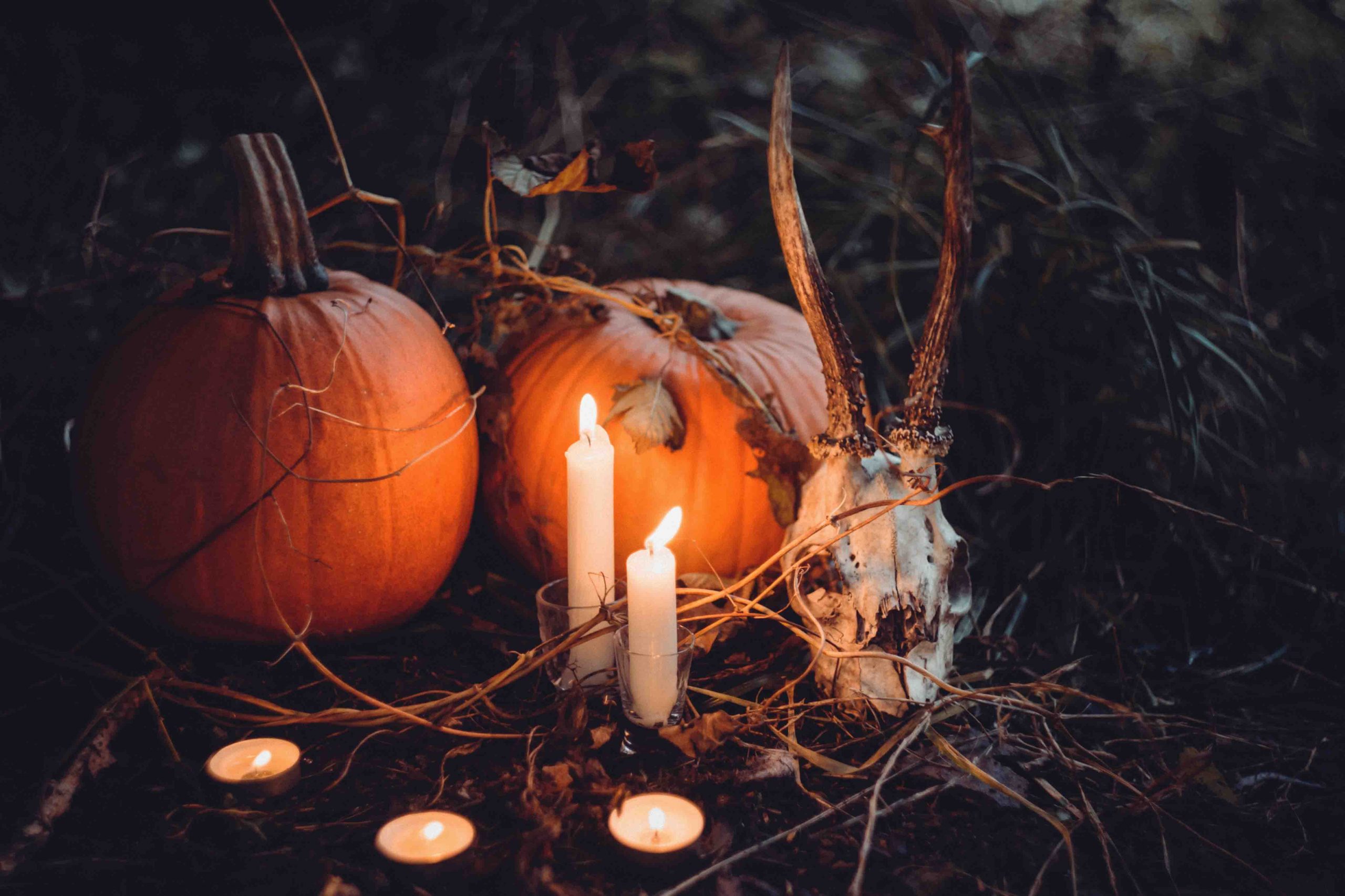 Utimate Guide to Celebrate Halloween with Kids
