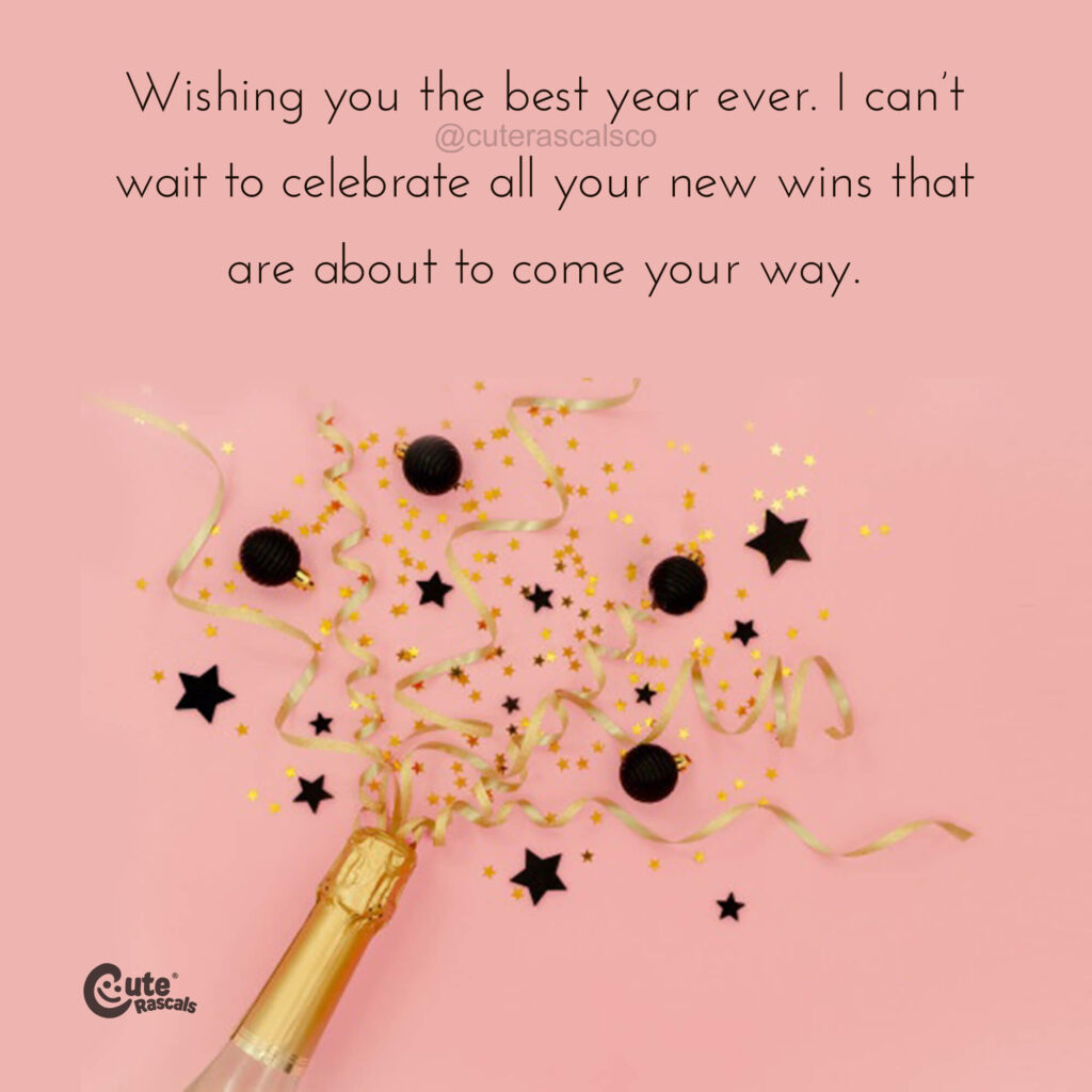 Wishing the best year ever. Quote and wishes for the new year.