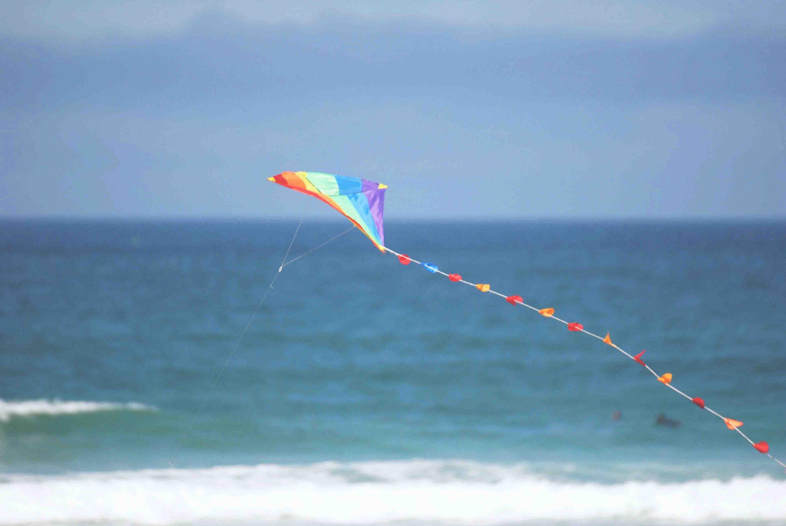 kite in beach