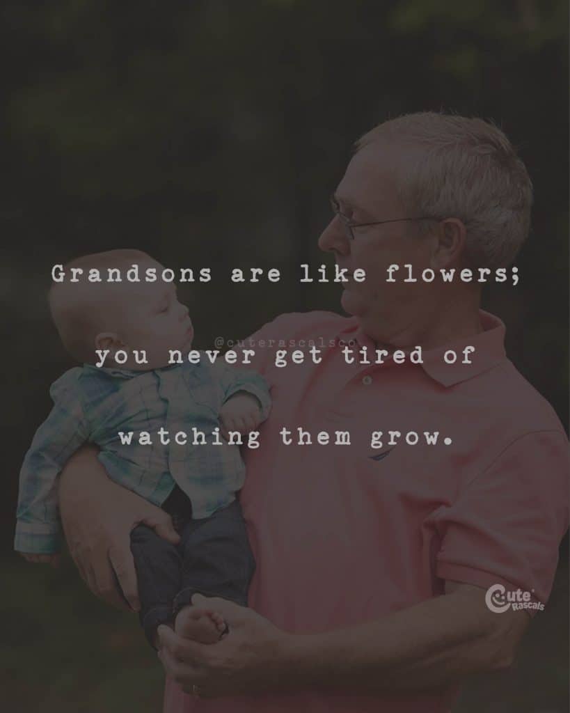Grandsons are like flowers; you never get tired of watching them grow