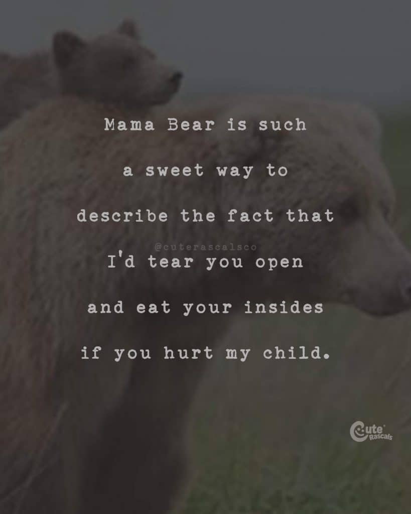 Mama Bear is such a sweet way to describe the fact that I'd tear you open and eat your insides if you hurt my child