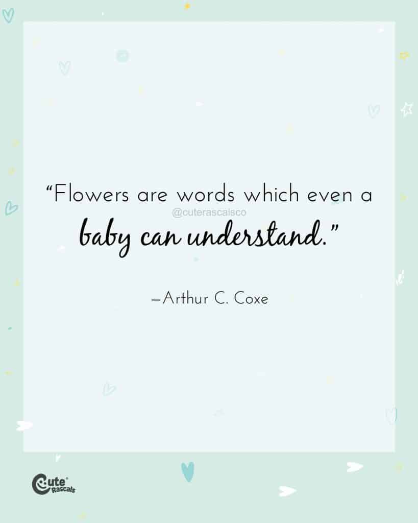 Flowers are words which even a baby can understand