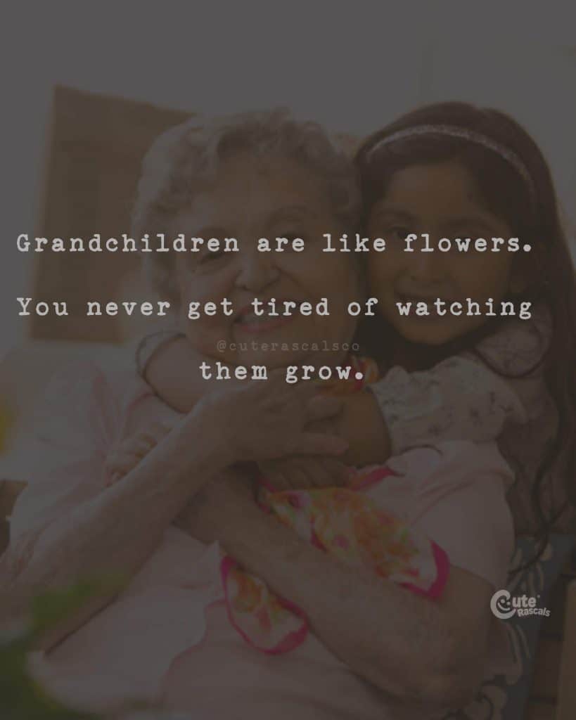 grandchildren are like flowers. You never get tired of watching them grow