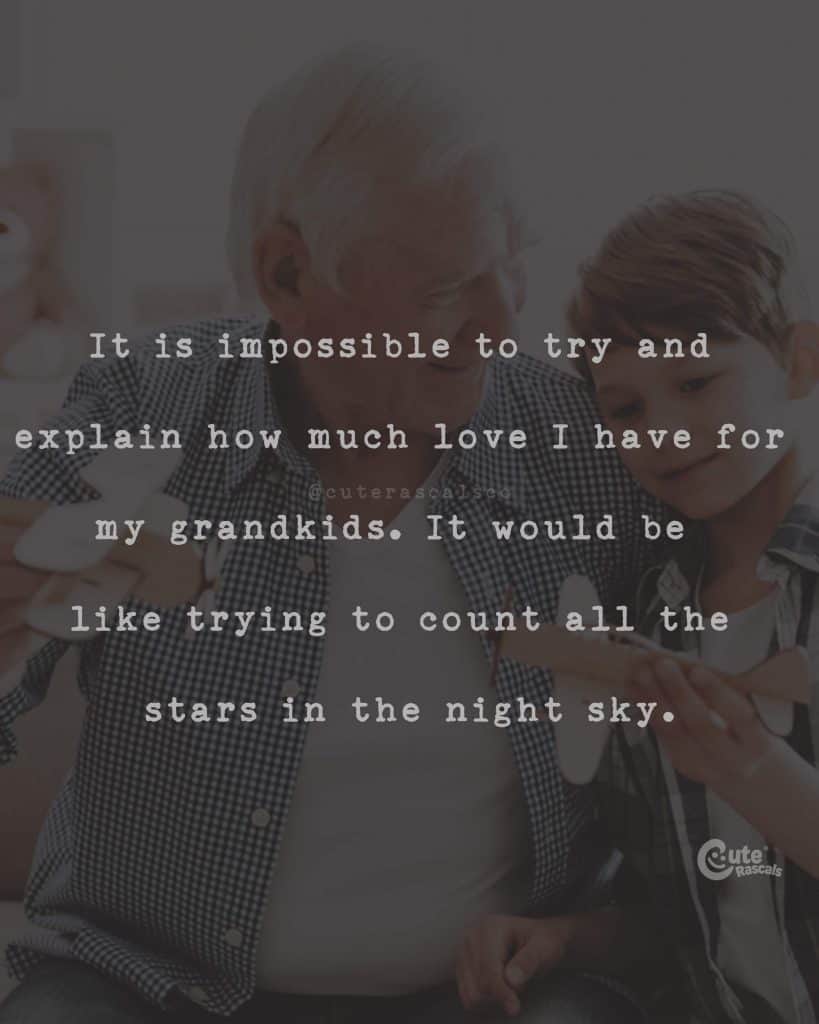 It is impossible to try and explain how much love I have for my grandkids. It would be like trying to count all the stars in the night sky