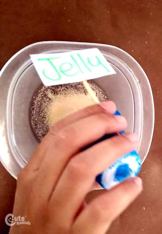 add the powdered, unflavored gelatin to the plastic container
