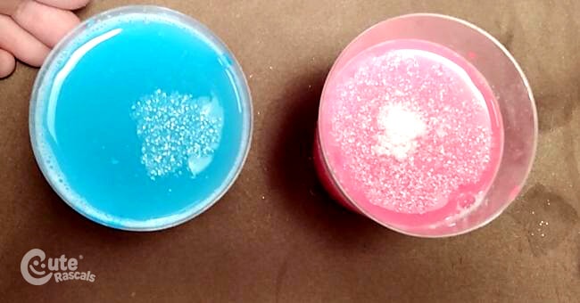 pour the mixture into the molds. easy science experiments for preschoolers