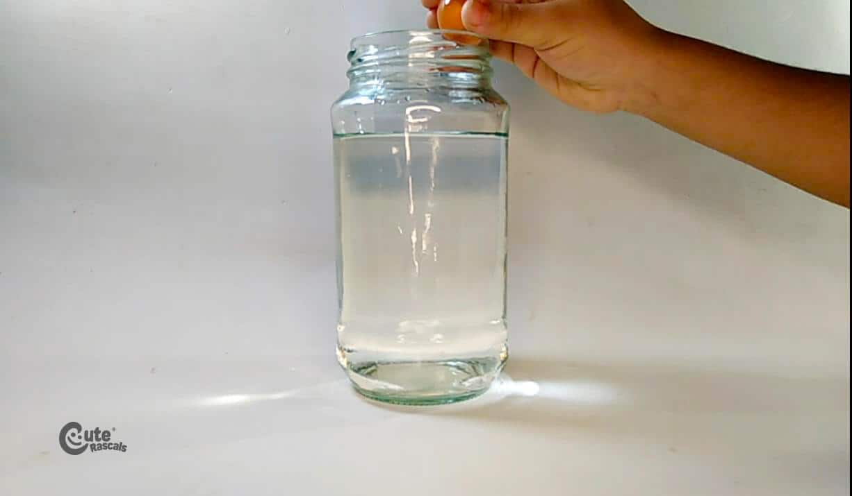 Add the gel balls into the clear bottle