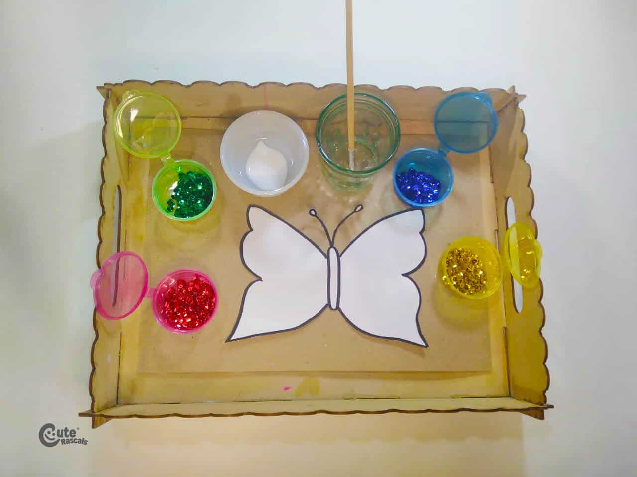Materials  Butterfly's Transformation Activity
