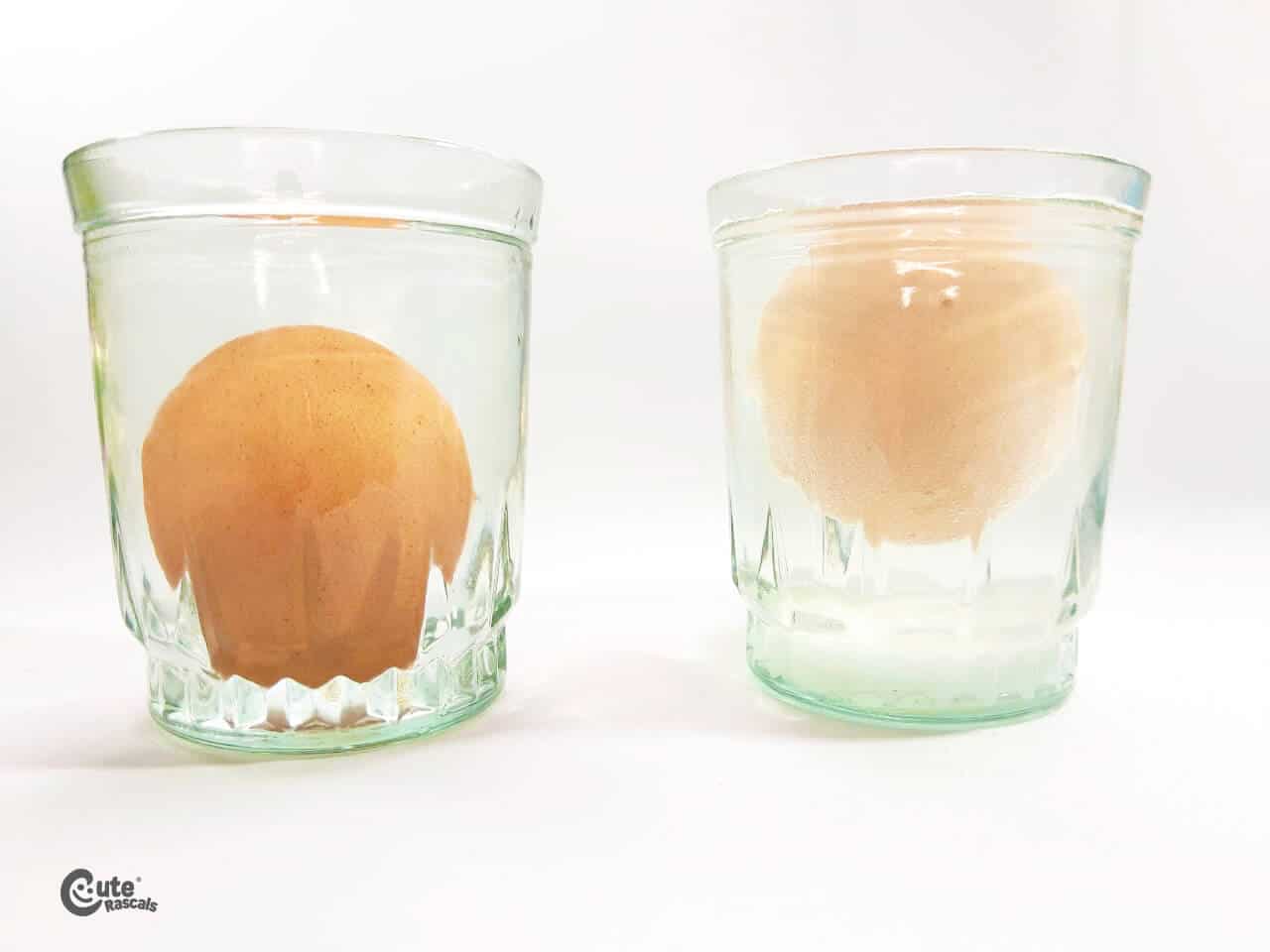 Floating eggs experiment