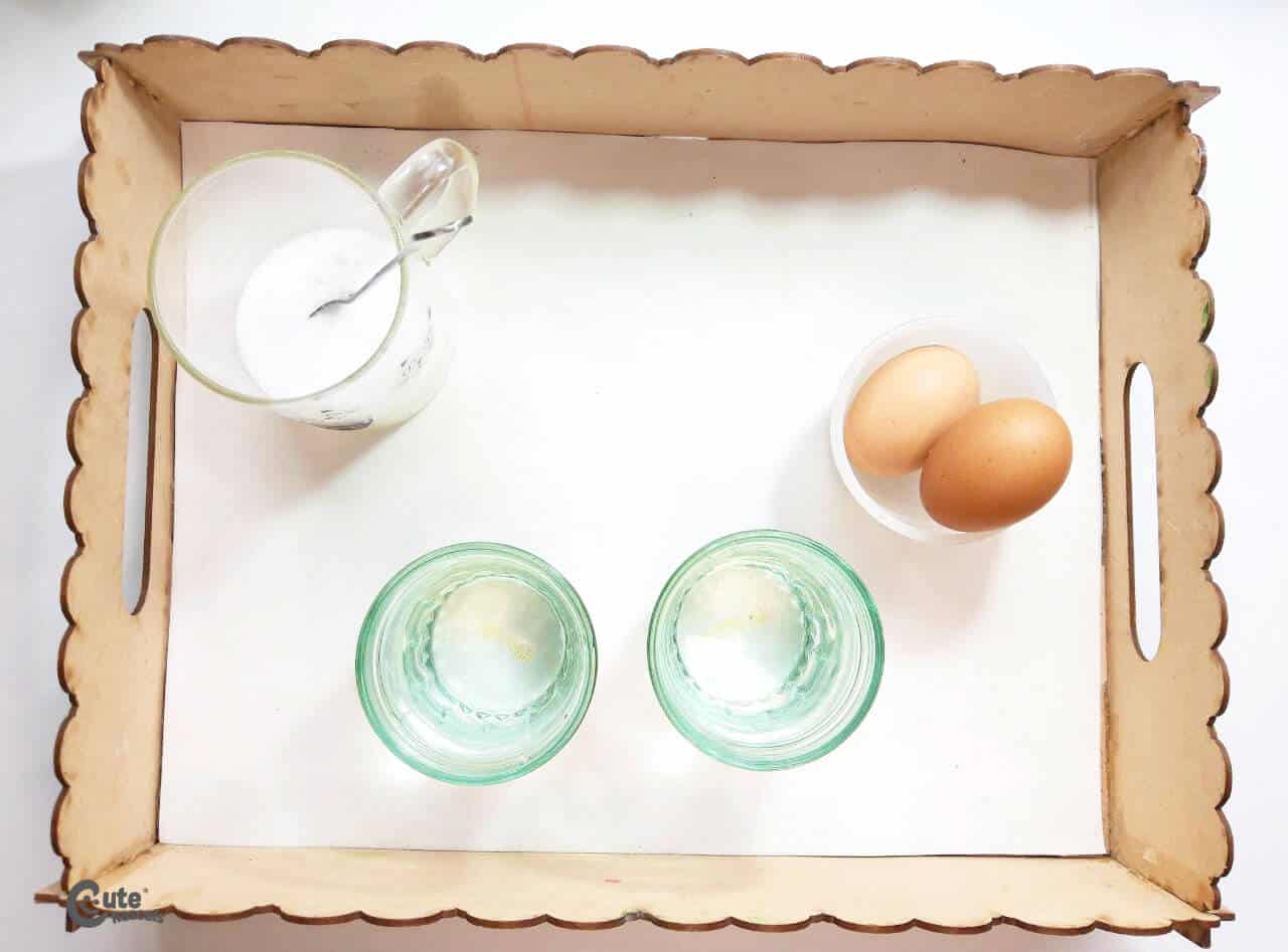 Materials Floating Eggs best science experiments for kids