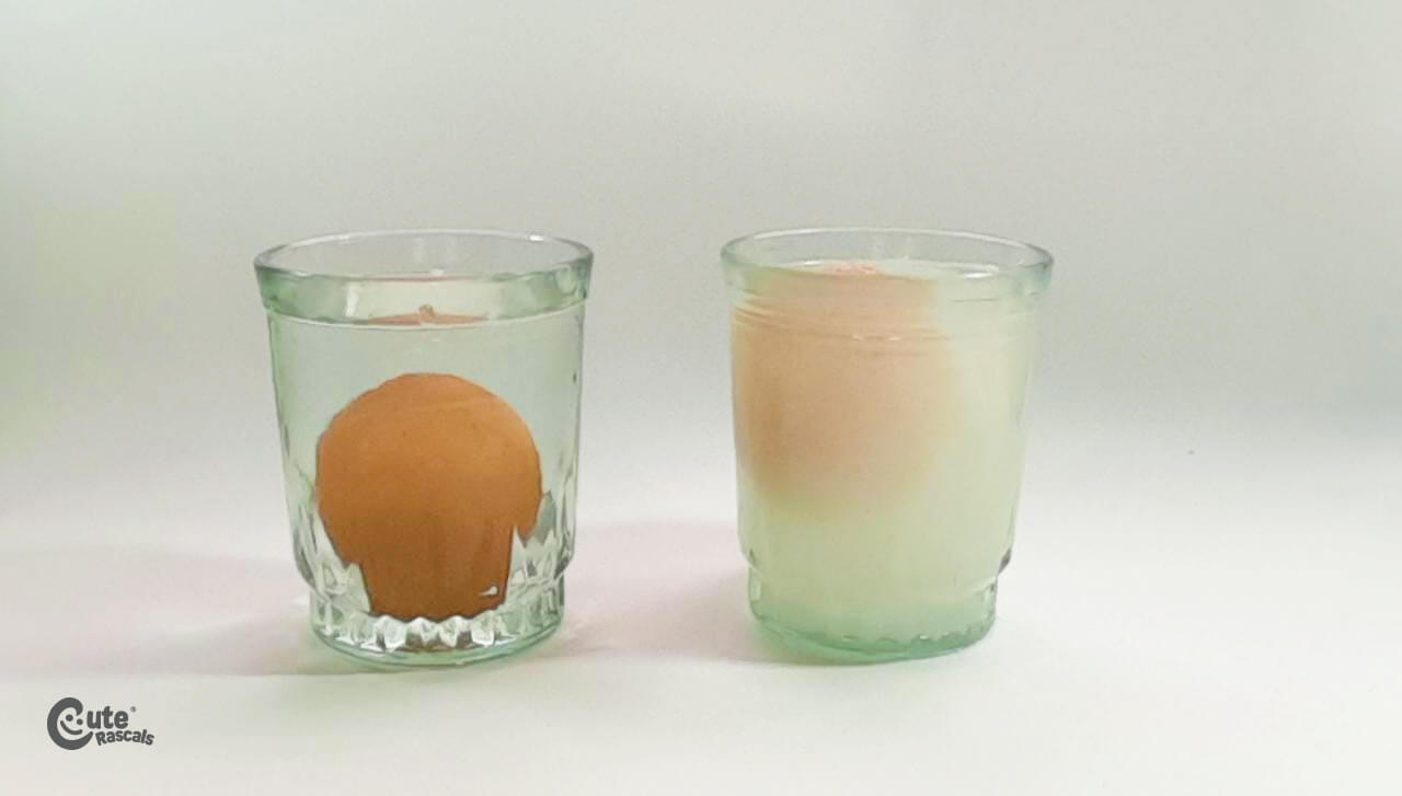 Floating Eggs Science Experiment