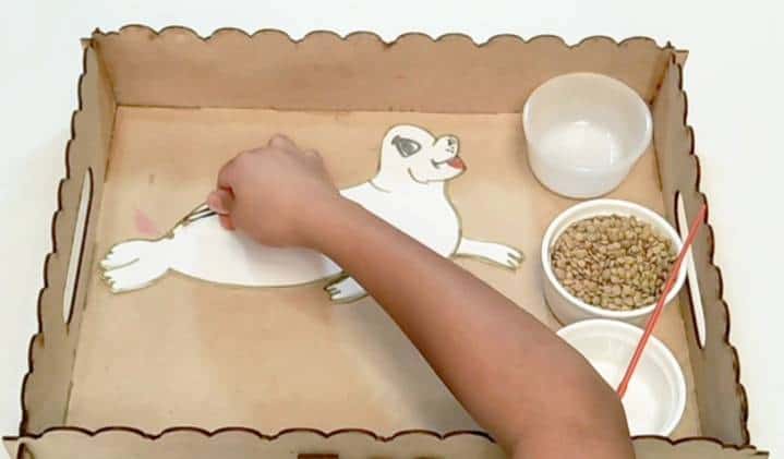Put the lentils around the seal's silhouette. kids fine motor skills activity