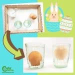 Easter Floating Eggs Best Science Experiments for Kids Montessori Worksheets (4-6 Year Olds)