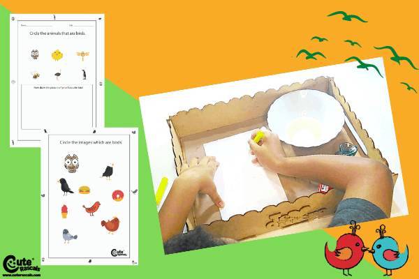 Invisible Bird Cool STEM Science Experiments for Kids Montessori Worksheets (4-6 Year Olds)