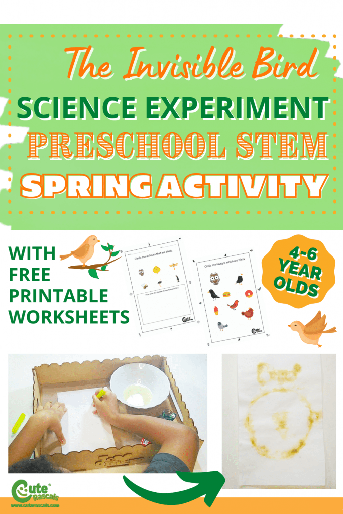 The invisible bird. Cool science experiments for kids. STEM home activity for spring with free printable worksheets.