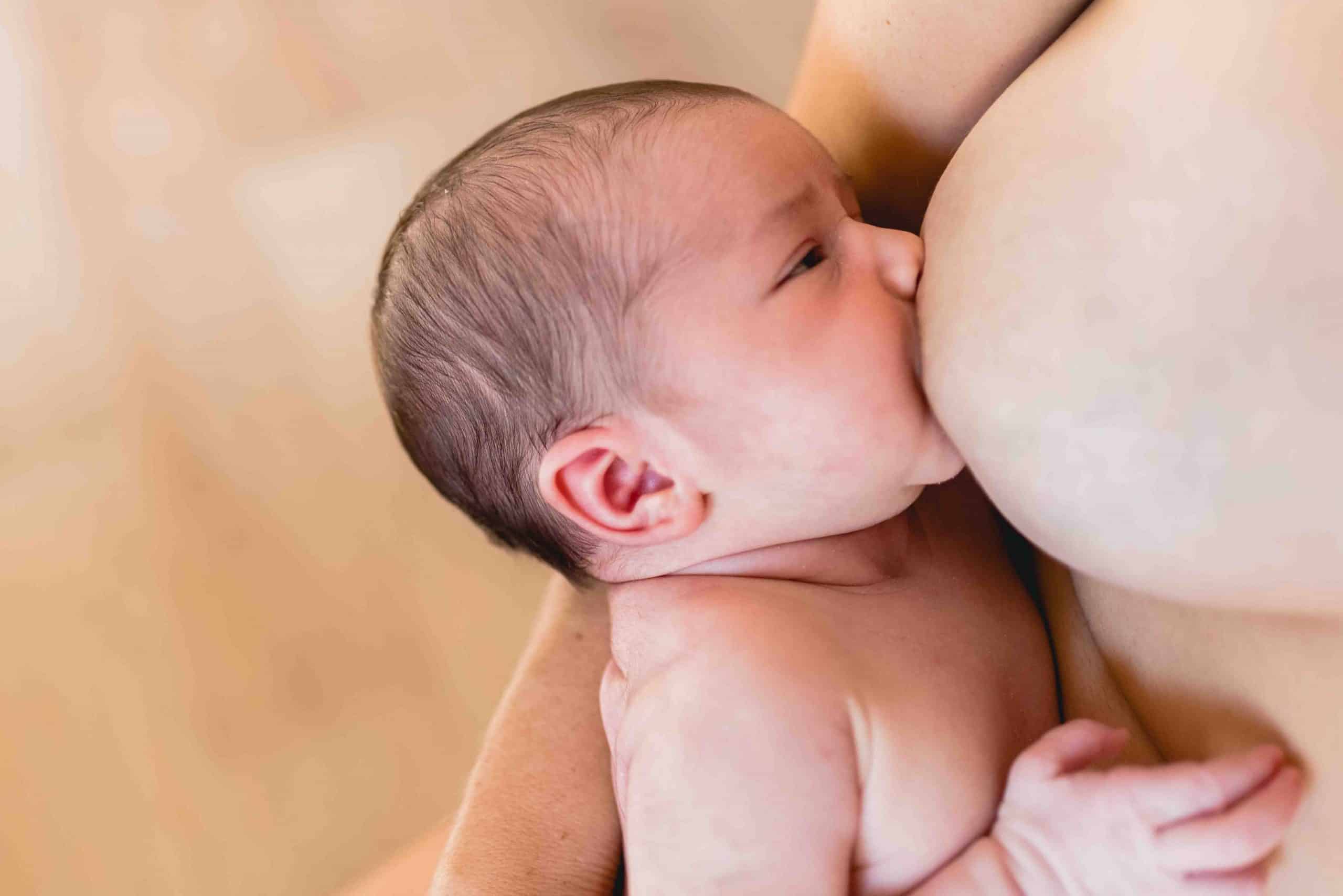 The Breastfeeding Protocol: A Guide on How to be Ready