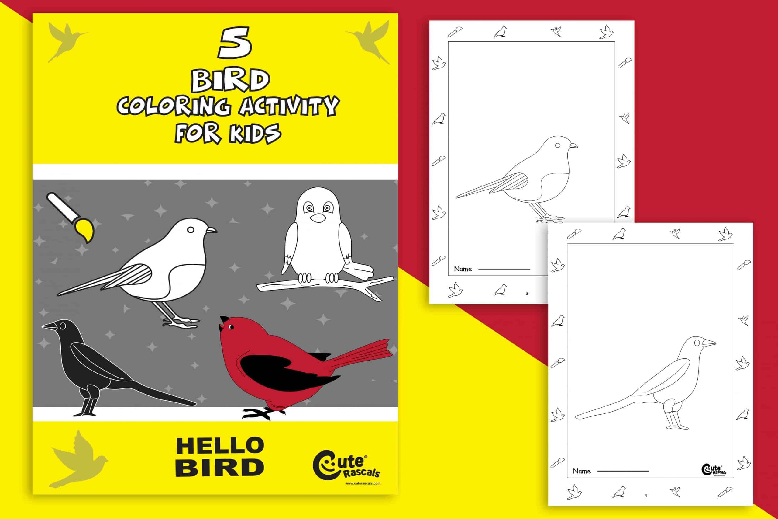 Simple! 5 Bird Coloring Pages for a Relaxing Time