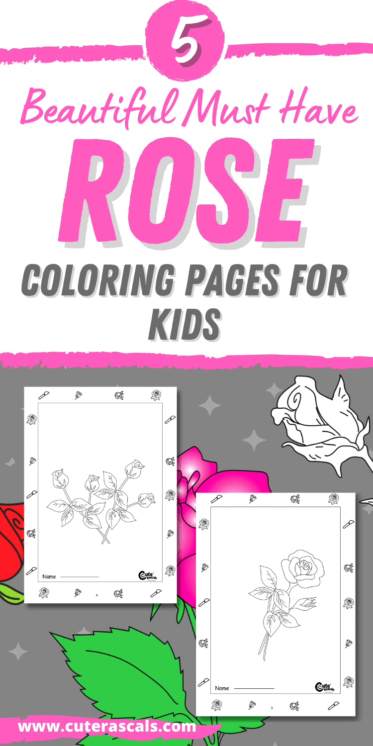 5 Beautiful Must Have Rose Coloring Pages for Kids