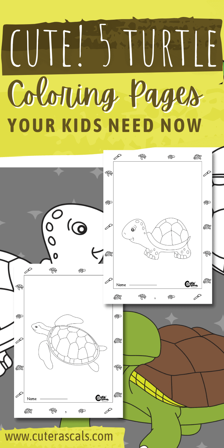 Cute! 5 Turtle Coloring Pages Your Kids Need Now