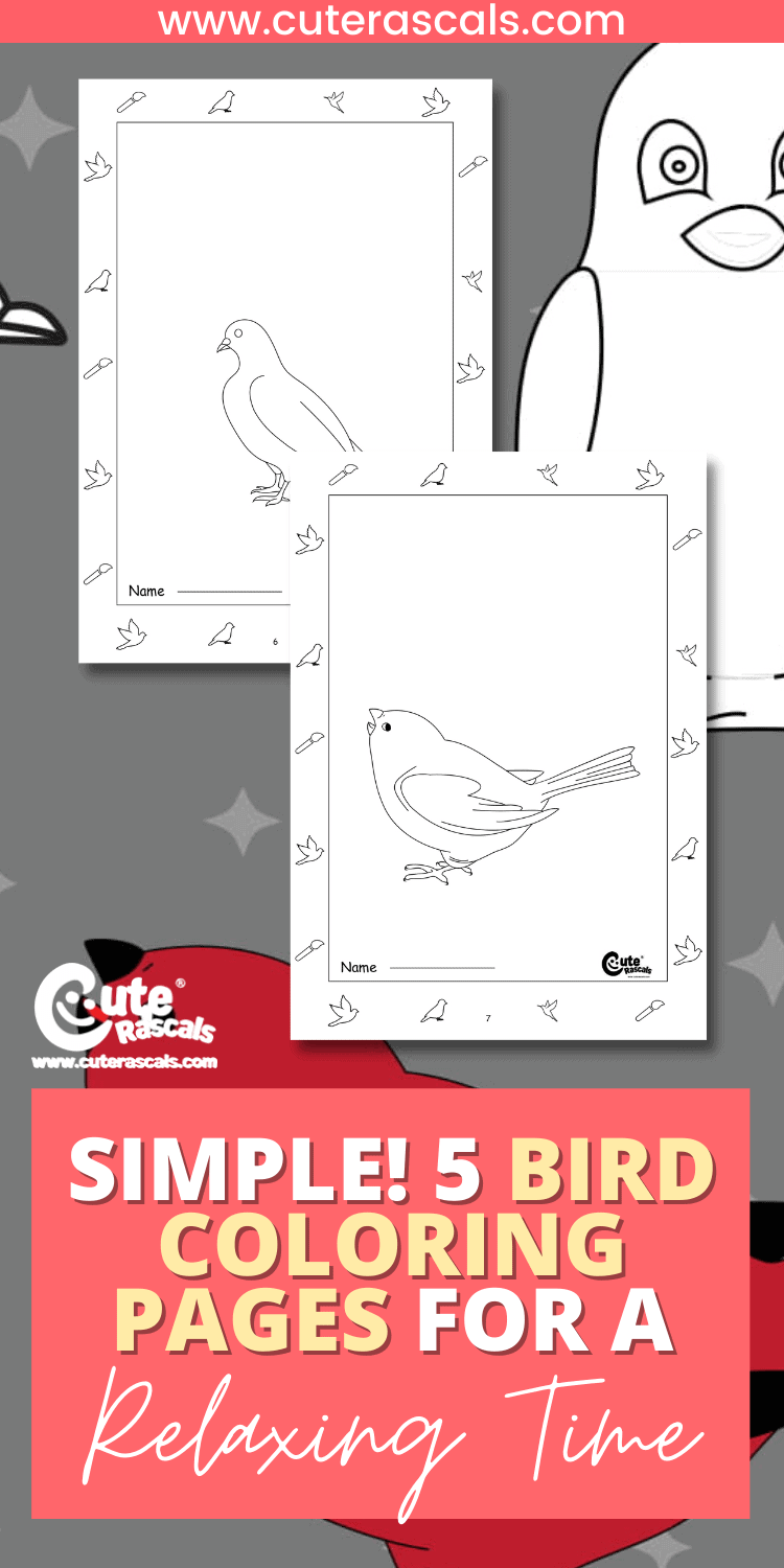 Simple! 5 Bird Coloring Pages for a Relaxing Time