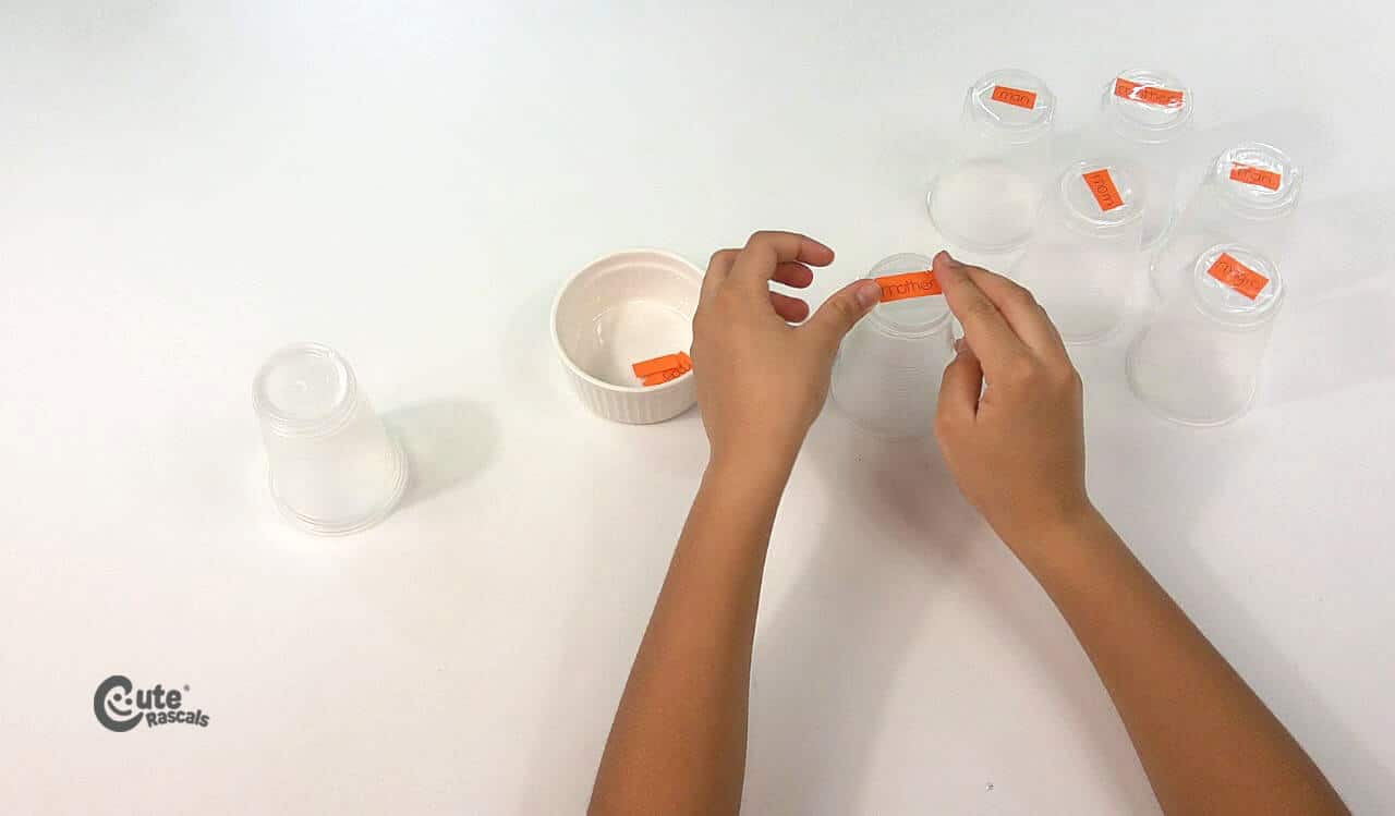Paste the words at the base of the cups. Language activities for preschoolers