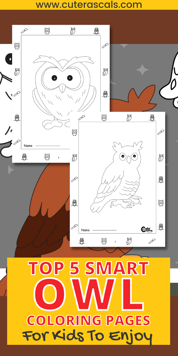 Top 5 Smart Owl Coloring Pages for Kids to Enjoy
