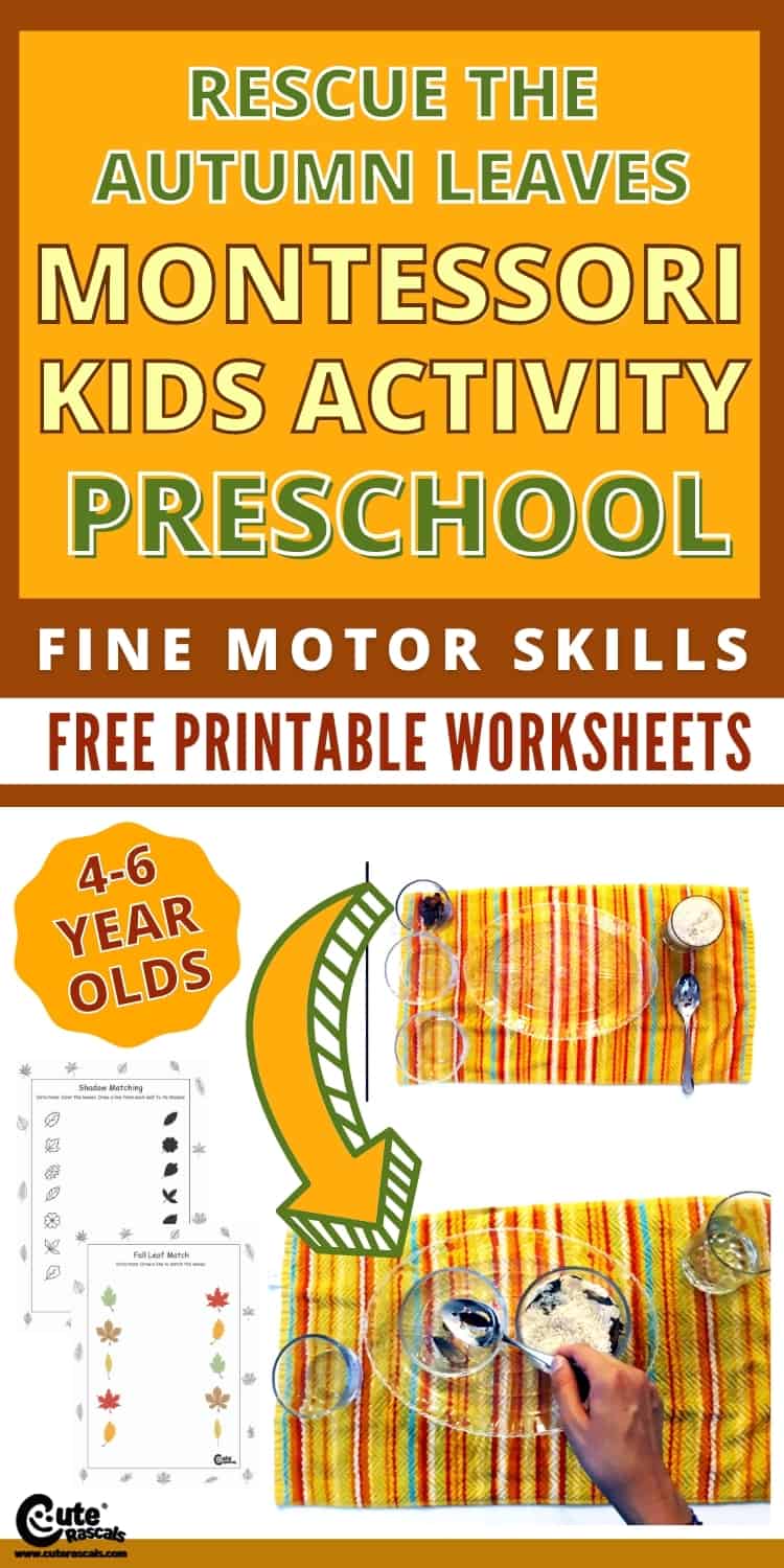 Fun fine motor skills activity for preschooler. Rescue the leaves is a Montessori activity for preschoolers.