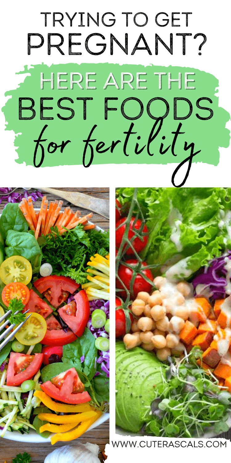 Trying to Get Pregnant? Here Are The Best Foods for Fertility
