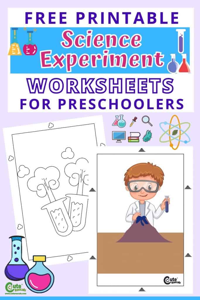 Free printable science worksheets